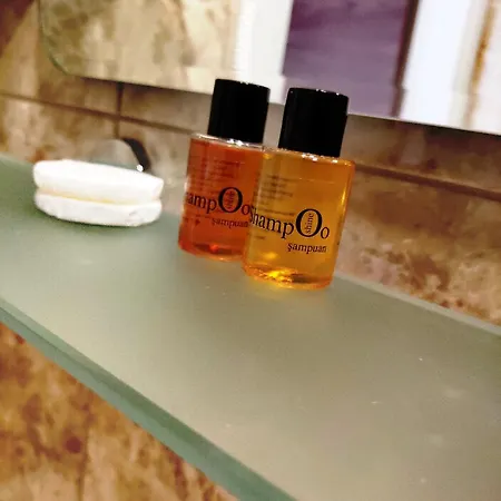 The Camelot Hotel 3*